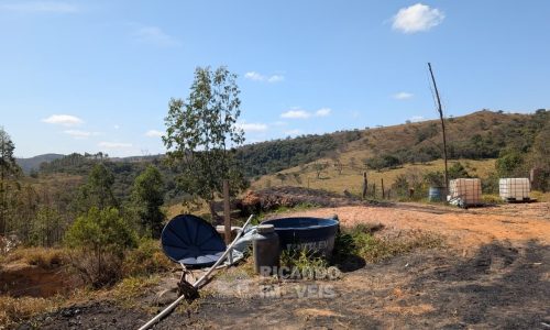 Fazenda no Fundo da Mata (33)