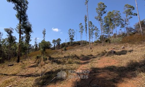 Fazenda no Fundo da Mata (35)