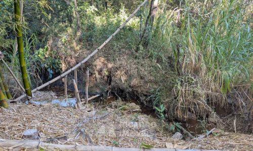 Fazenda no Fundo da Mata (38)