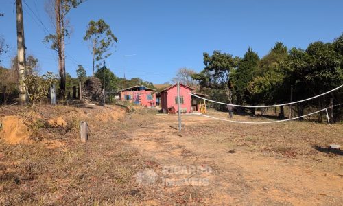 Fazenda no Fundo da Mata (39)