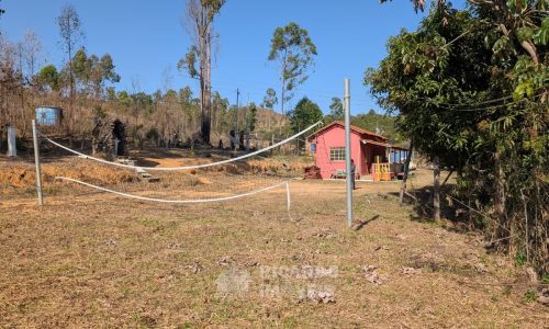 Fazenda no Fundo da Mata (4)