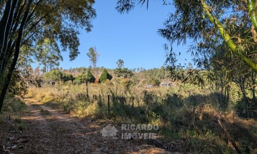 Fazenda no Fundo da Mata (41)