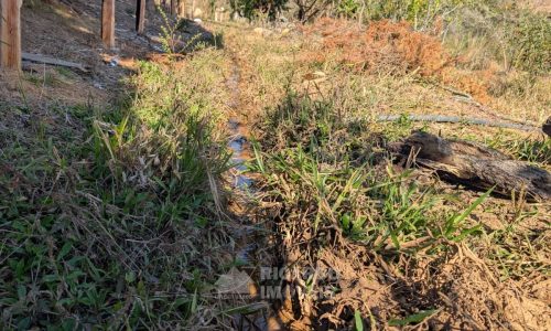 Fazenda no Fundo da Mata (42)