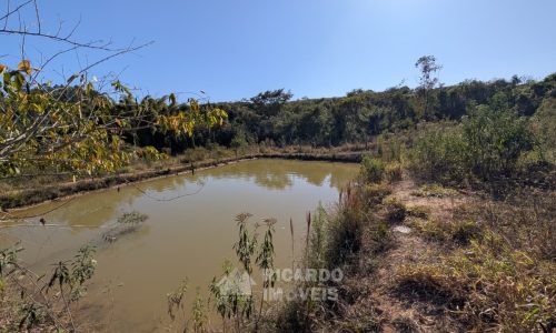 Fazenda no Fundo da Mata (43)