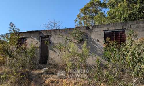 Fazenda no Fundo da Mata (44)