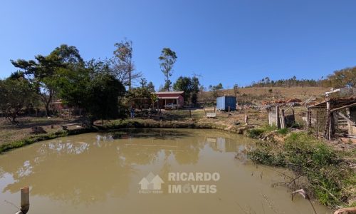 Fazenda no Fundo da Mata (5)