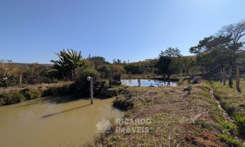 Fazenda no Fundo da Mata (6)