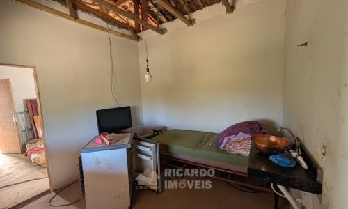 Fazenda no Fundo da Mata (8)