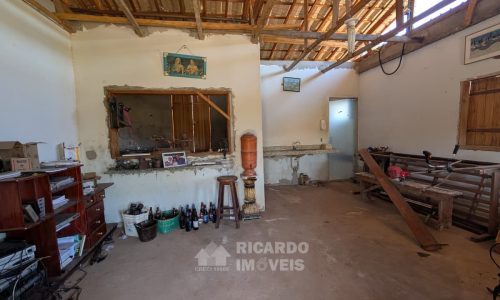 Fazenda no Fundo da Mata (9)