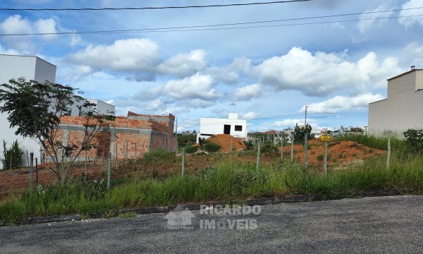 IMG_20260202_162642