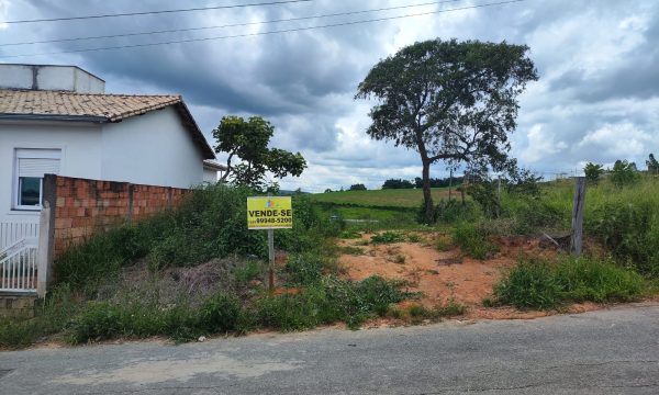 Lote 07 MFE (3)
