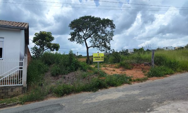 Lote 07 MFE (4)