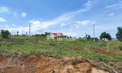 Lote 9 Deca L 03 (4)