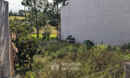 Lote José Gaudencio Junior (2)