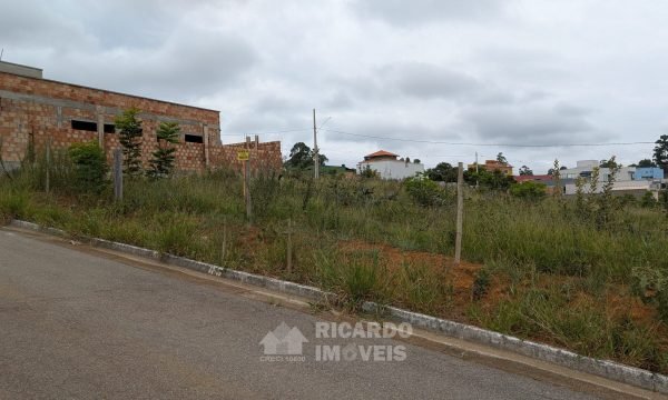 Lote Juca M K (1)