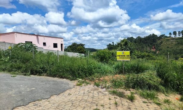 Lote MFE (1)
