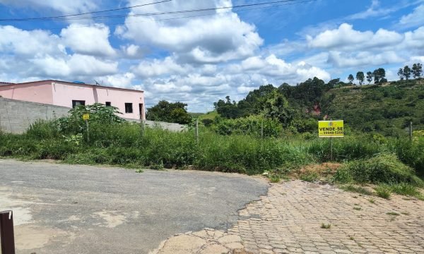Lote MFE (2)