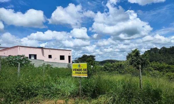Lote MFE (3)