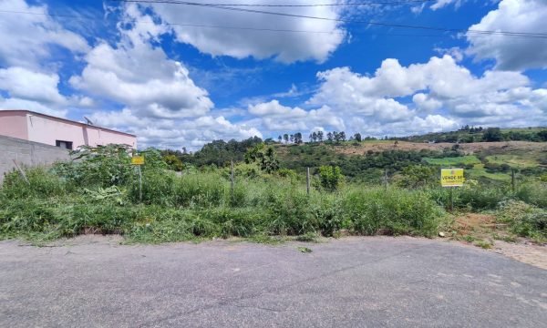 Lote MFE (4)
