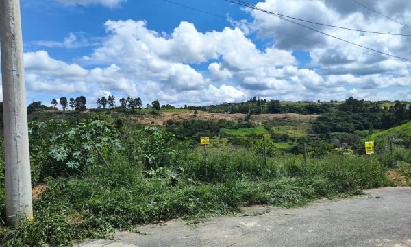 Lote MFE (5)