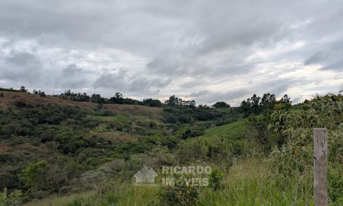Lote Monsenhor Eloi João Dias (1)