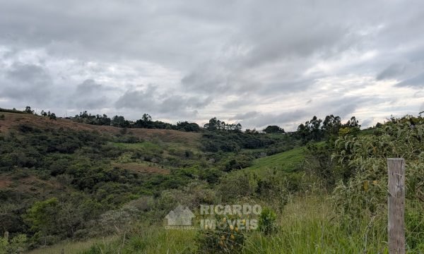 Lote Monsenhor Eloi João Dias (1)