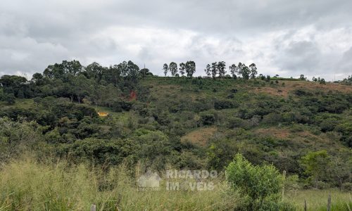 Lote Monsenhor Eloi João Dias (2)