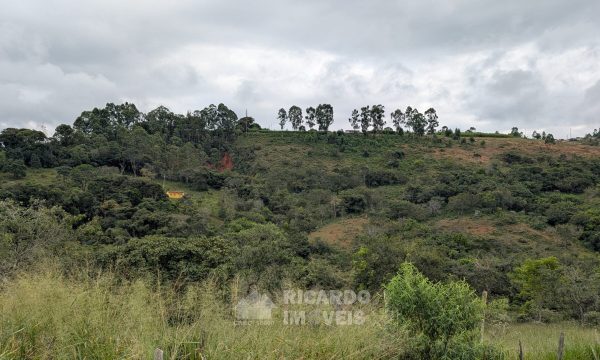 Lote Monsenhor Eloi João Dias (2)