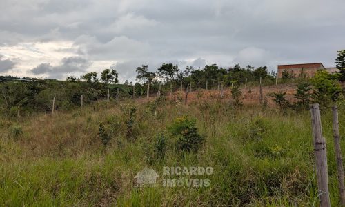 Lote Monsenhor Eloi João Dias (3)