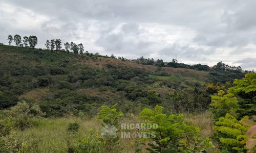 Lote Monsenhor Eloi João Dias (5)