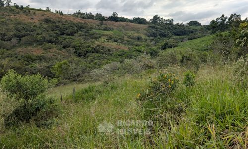 Lote Monsenhor Eloi João Dias (8)