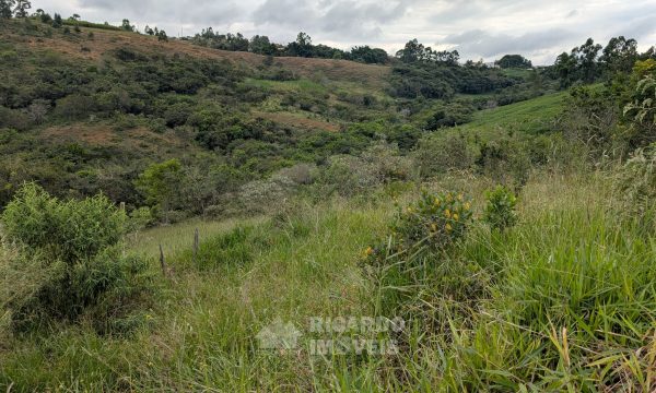 Lote Monsenhor Eloi João Dias (8)