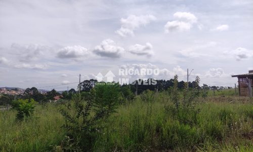 Lote Q K Lote 19 (2)