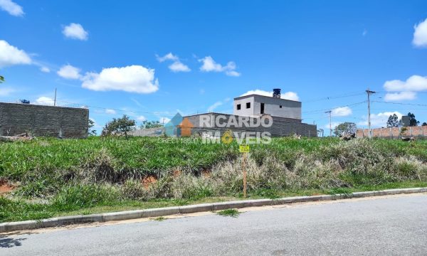 Lote SA M-08 (2)
