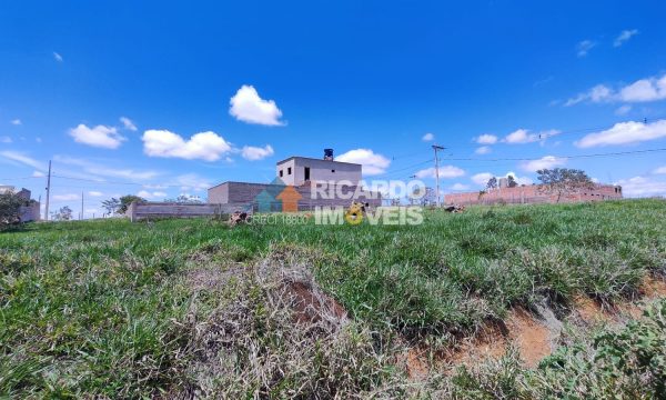 Lote SA M-10 (3)
