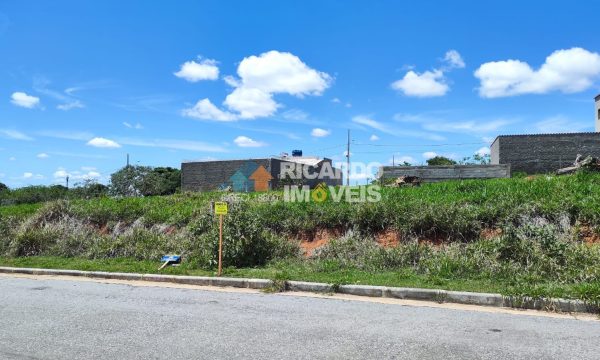 Lote SA M-10 (4)