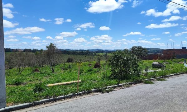 Lote SA S-09 (1)