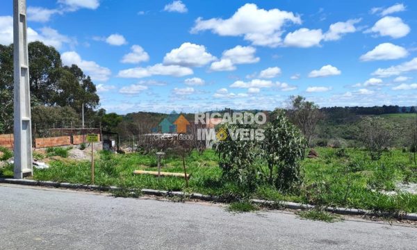 Lote SA S-09 (3)