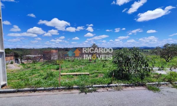 Lote SA S-09 (4)