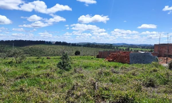 Lote SA S-15 (4)