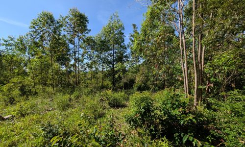 PXL_20250205_115232580