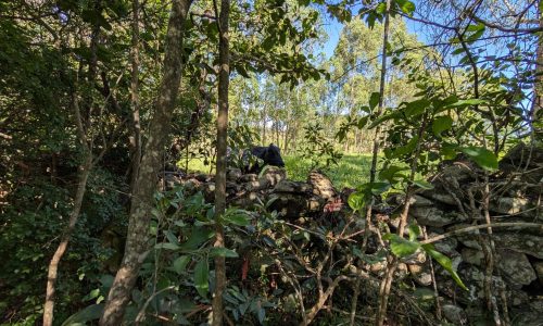 PXL_20250205_115247589