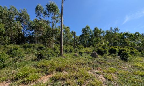 PXL_20250205_115643545