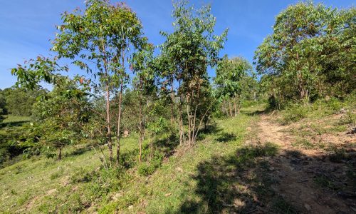 PXL_20250205_115753312