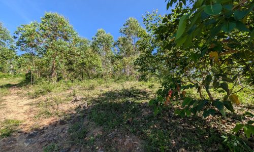 PXL_20250205_115758167