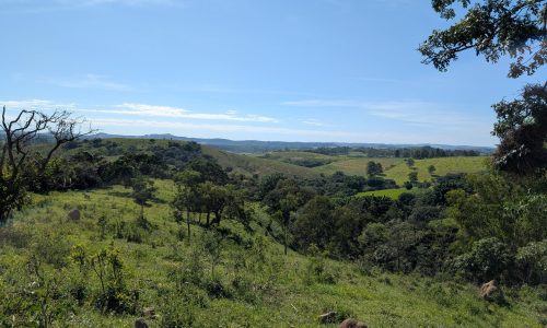 PXL_20250205_115952540