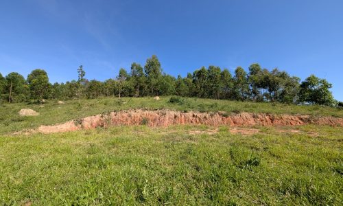 PXL_20250205_120003177