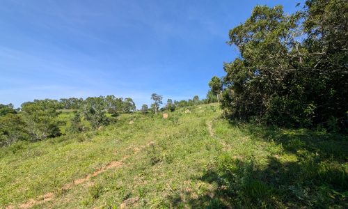 PXL_20250205_120346181