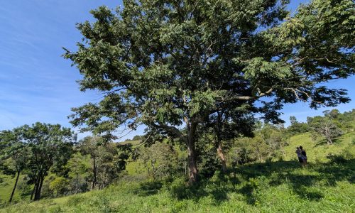 PXL_20250205_120913982