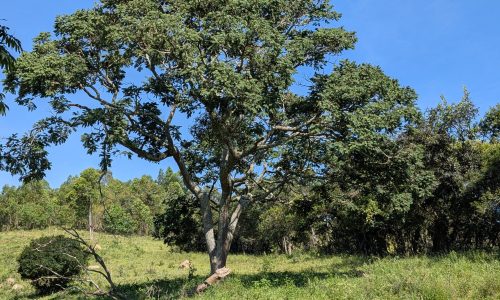 PXL_20250205_120923517